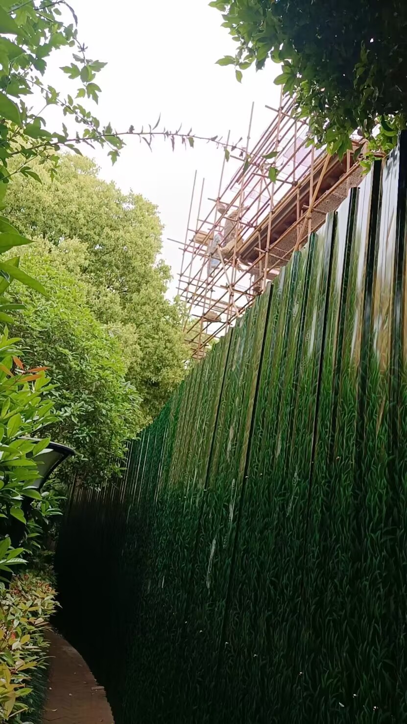 20240215c56f0ab9e4edfdf4bde99da719915bff.jpg 20240215c56f0ab9e4edfdf4bde99da719915bff.jpg