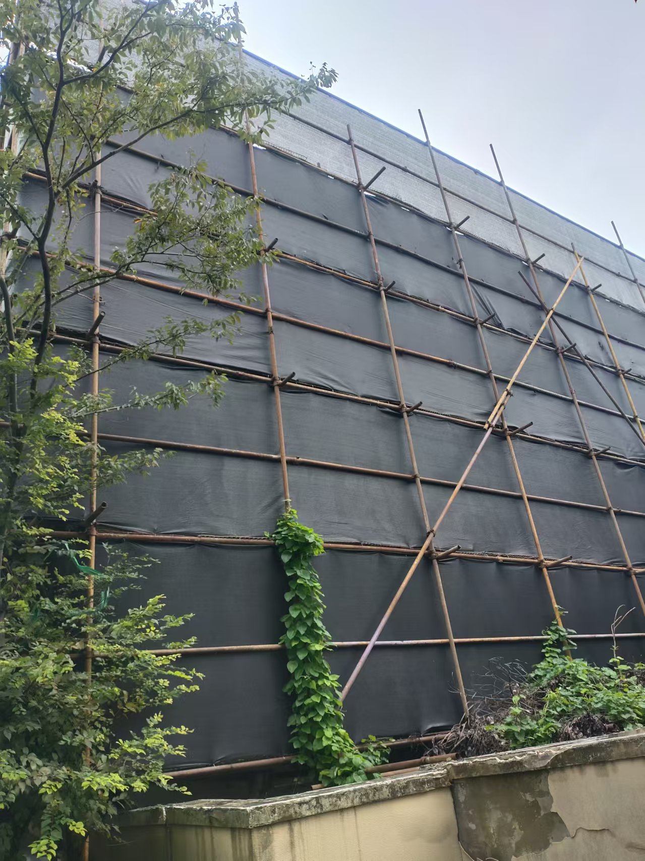 2024101357bfd65db3ecfbb5163a18c27fdb3e13.jpg 2024101357bfd65db3ecfbb5163a18c27fdb3e13.jpg