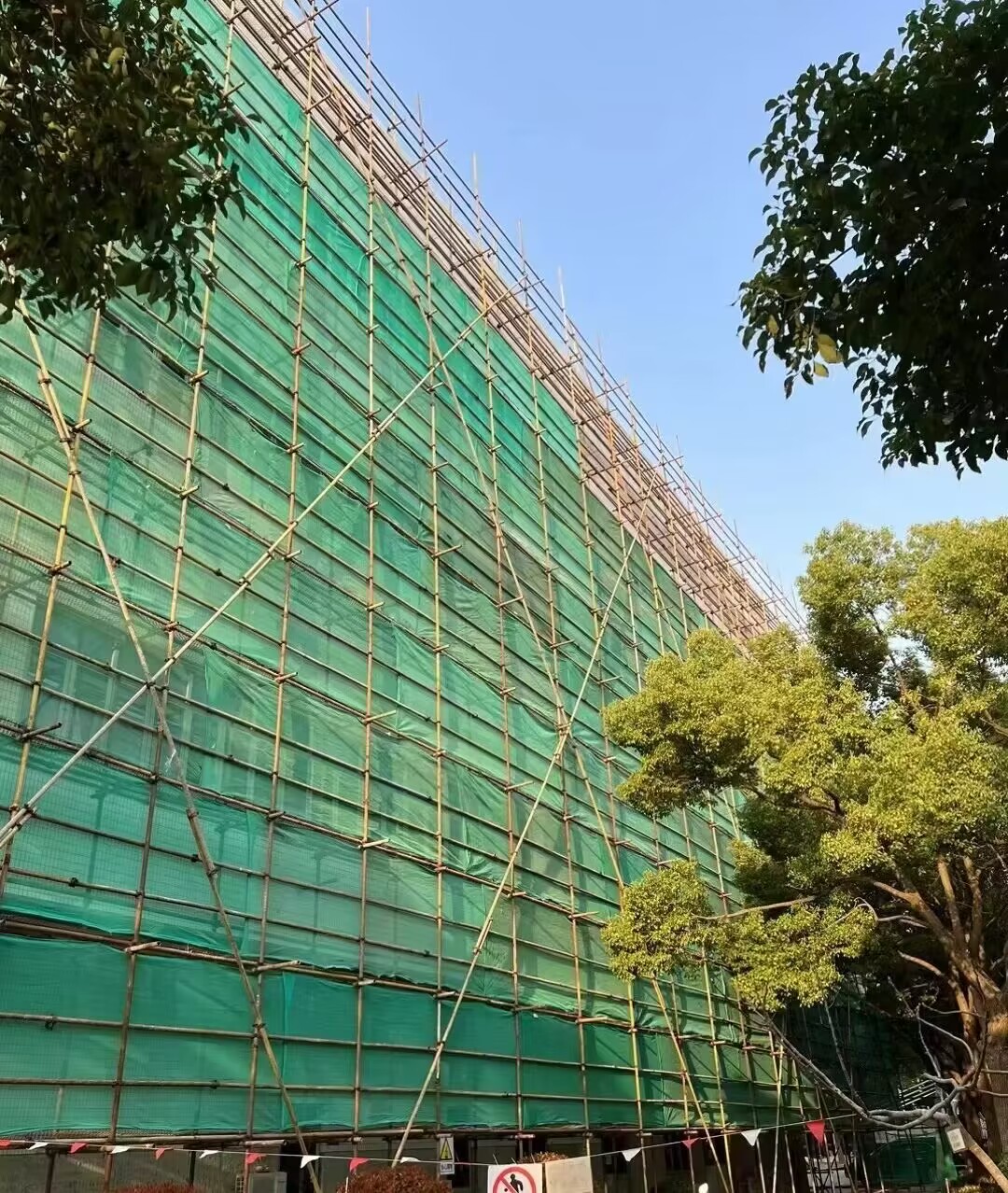 202502113e18cf94e6562af69a4c6c7b23ad4a94.jpg 202502113e18cf94e6562af69a4c6c7b23ad4a94.jpg