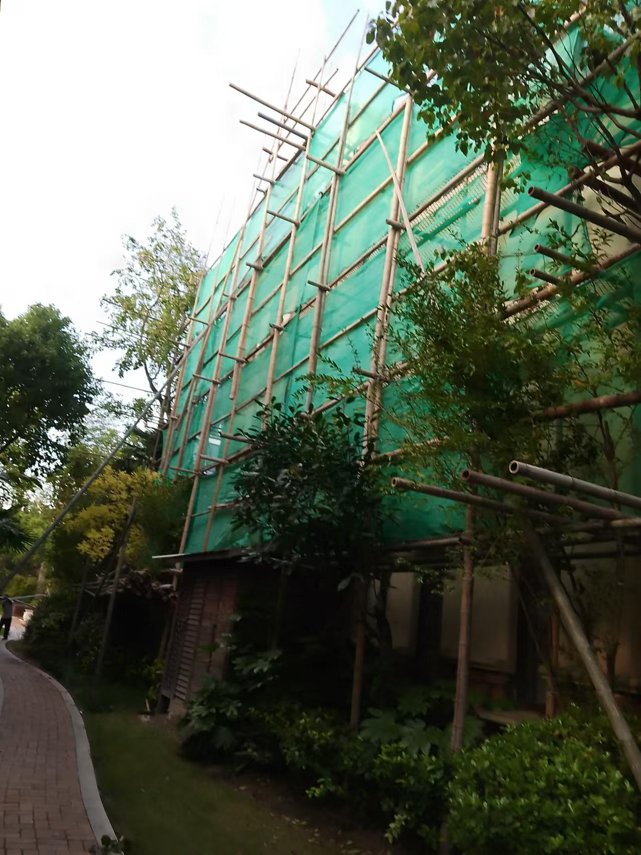 20250306455ed124d6ba004e7896139d4e56c29c.jpg 20250306455ed124d6ba004e7896139d4e56c29c.jpg